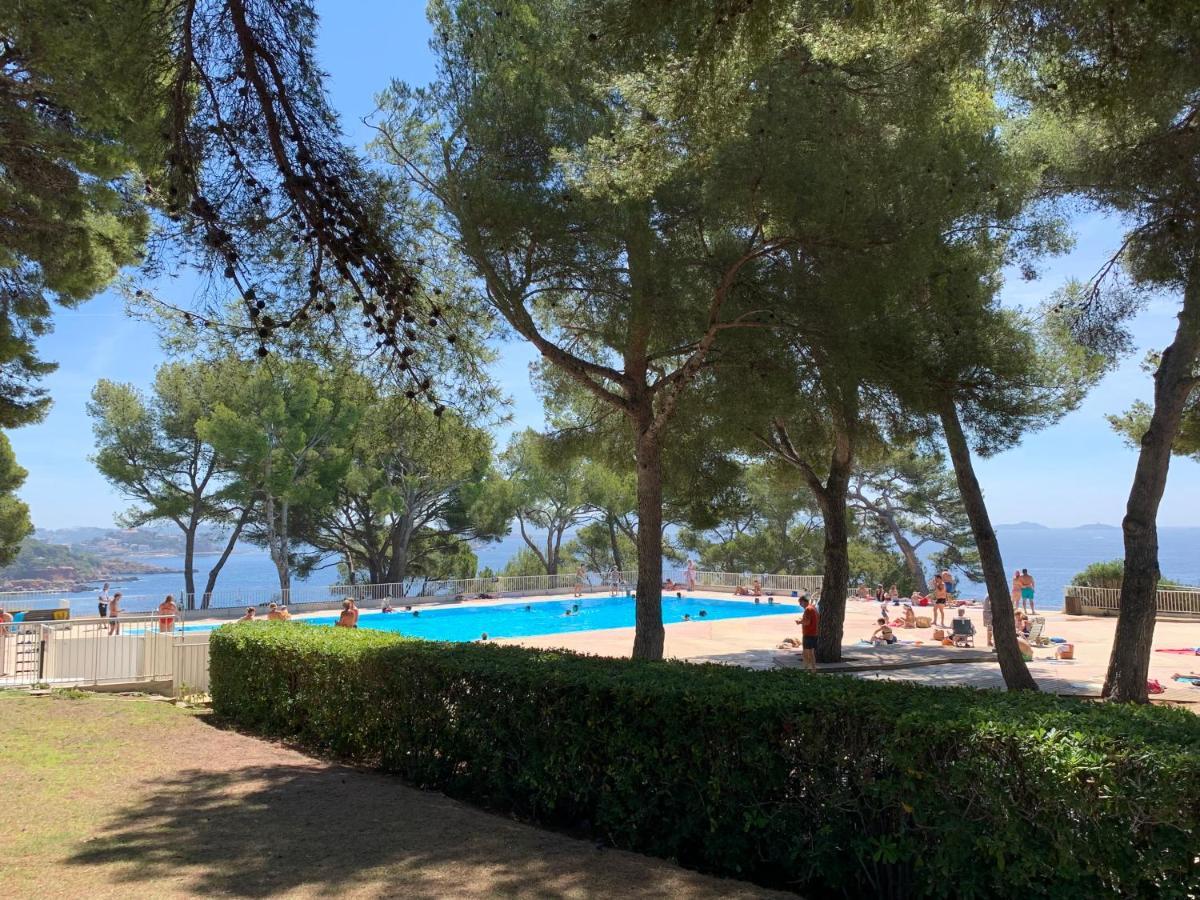 Horizon Bleu Bandol : Appartement Pieds Dans L'Eau المظهر الخارجي الصورة