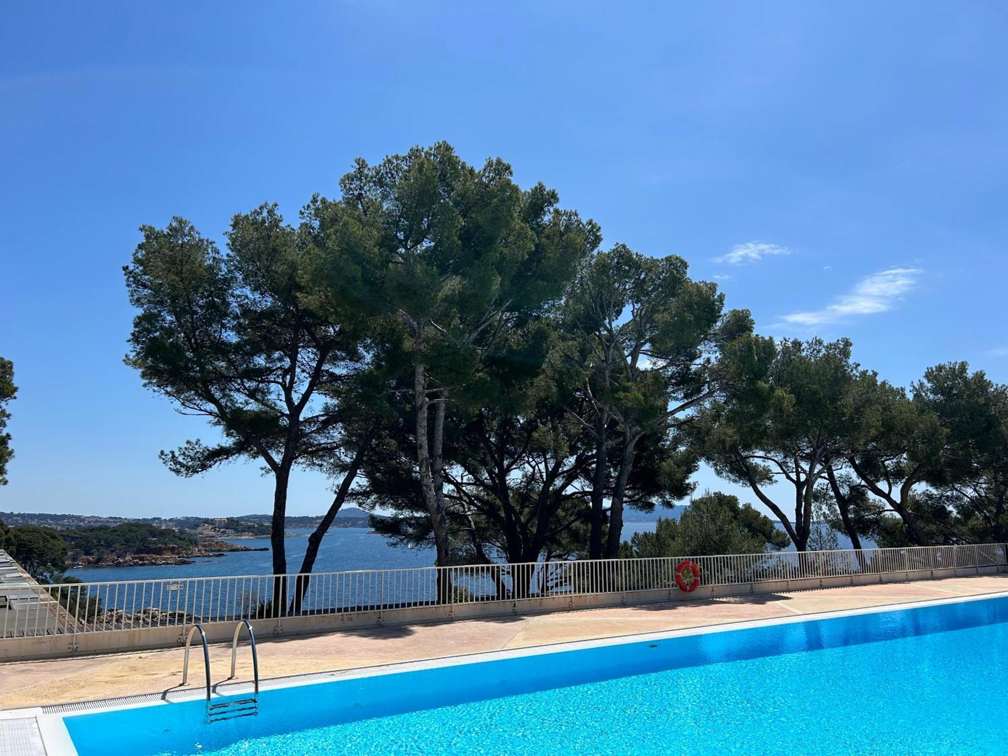 Horizon Bleu Bandol : Appartement Pieds Dans L'Eau المظهر الخارجي الصورة